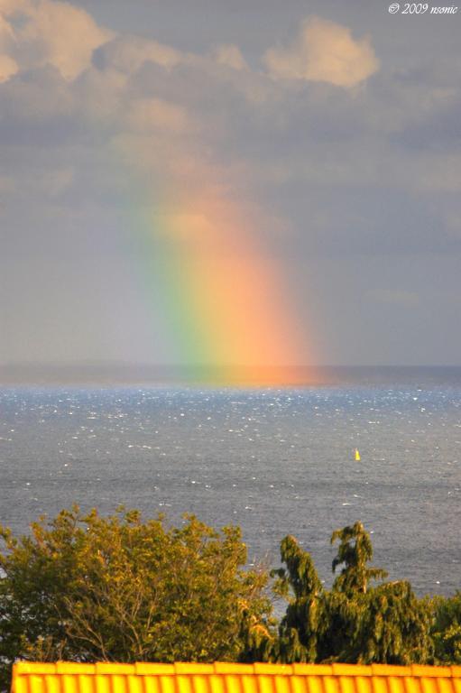 Fewo Meerestraum Sassnitz Dış mekan fotoğraf